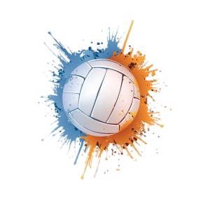 Volleyball ic